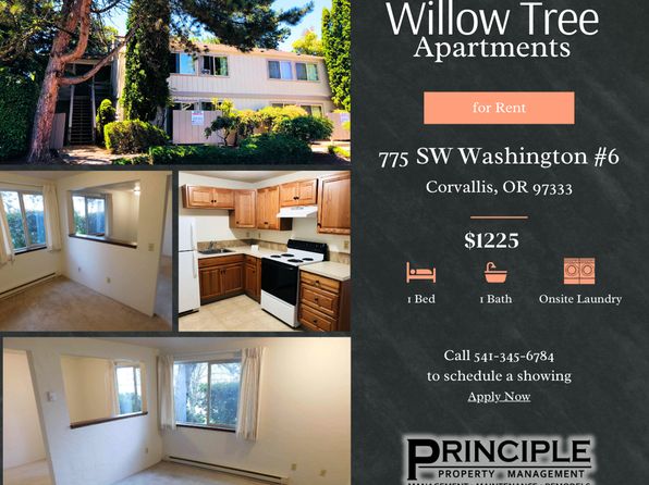 775 SW Washington Ave APT 6