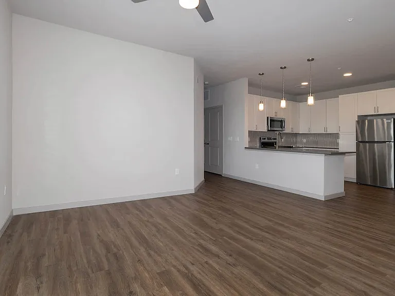 Living Room with Hard Surface Flooring