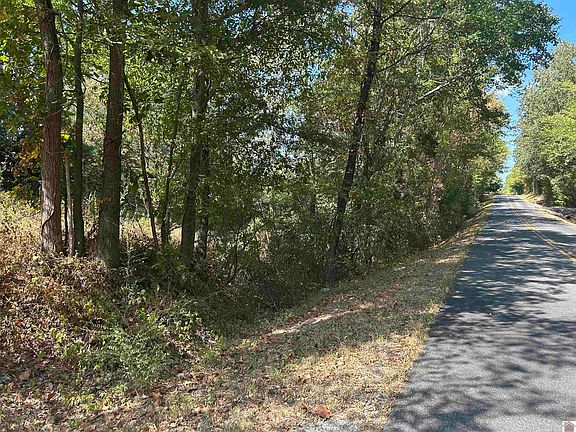 2nd image of 0 Briensburg Tatumsville Rd