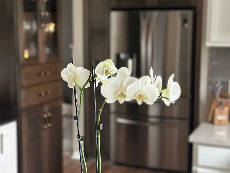 540 Juniper Ct — Photo 7