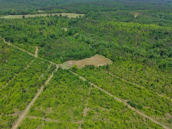 0 County Road 38, Autaugaville, AL 36003