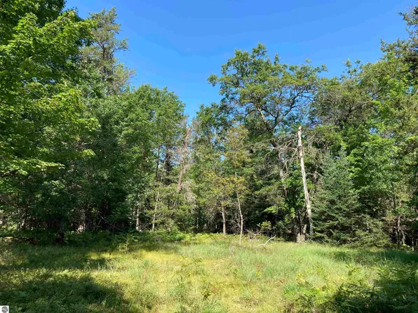 N/a Heath Rd, West Branch, MI 48661