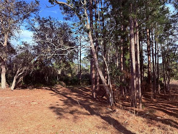 4th image of 900 Racoon Trl