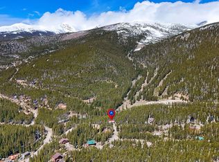 218 Brook Dr, Idaho Springs, CO 80452