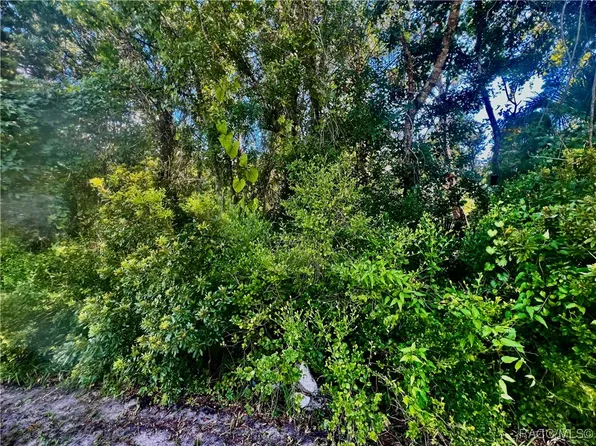 8356 W Bradshaw St, Homosassa, FL 34448