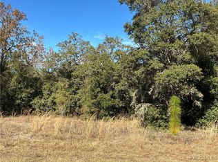 413 W Olympia St, Hernando, FL 34442
