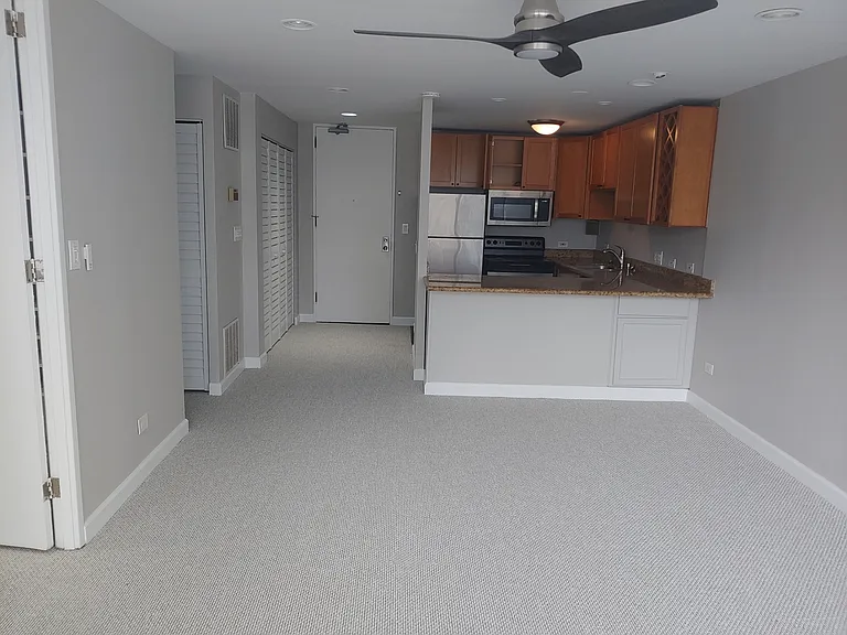 233 E Erie St #2409 — Photo 5
