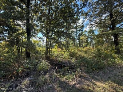 Lake Spur Dr, Mansfield, AR, 72944