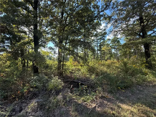 Lake Spur Dr, Mansfield, AR 72944