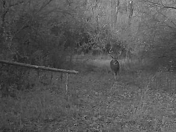 5th image of 0 E Windsong Rd