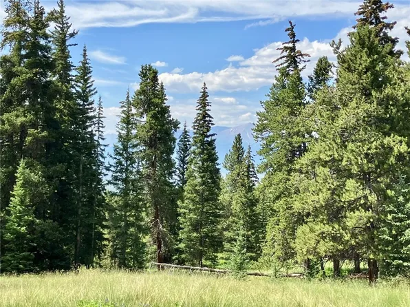 3582 S South S, Leadville, CO 80461