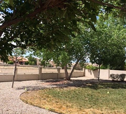 305 spyglass back yard 2