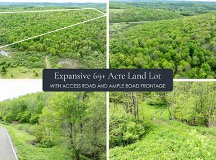 County Road 24 Lot 2, New Berlin, NY 13411