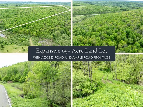 County Road 24 Lot 2, New Berlin, NY 13411