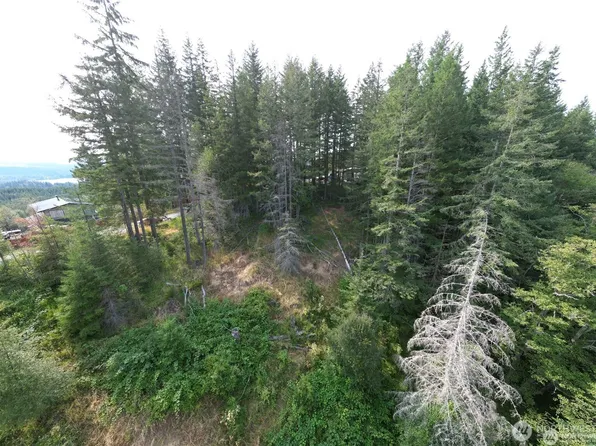 50113 146th Avenue E, Eatonville, WA 98328