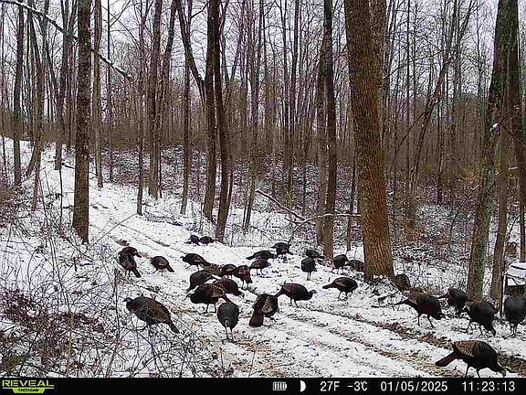 2nd image of 0 Dutch Ridge Rd SE