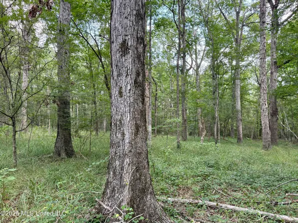 1 Highway 17, Camden, MS 39045