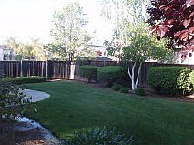 Well manicured yard
