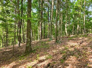 Mosquito Rd, Six Mile Run, PA 16679