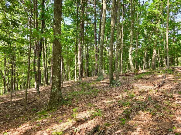 Mosquito Rd, Six Mile Run, PA 16679