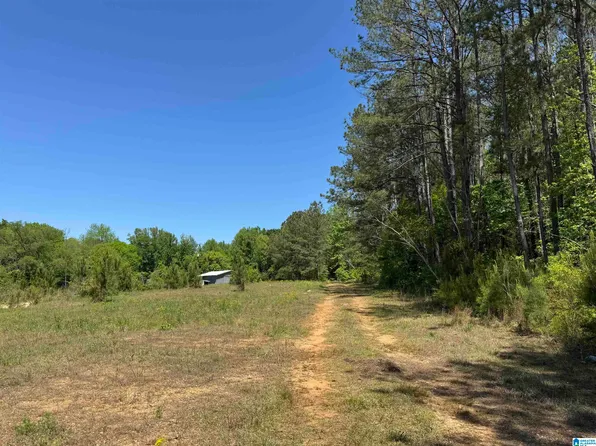 Satterwhite St #11.75, Roanoke, AL 36274