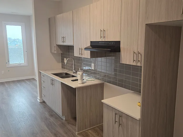 229 Lamarche Ave — Photo 6