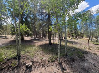 738 Lodge Pole Dr, Twin Lakes, CO 81251