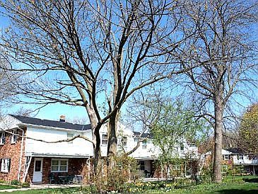 2nd image of 4947 W Colonial Ct #86