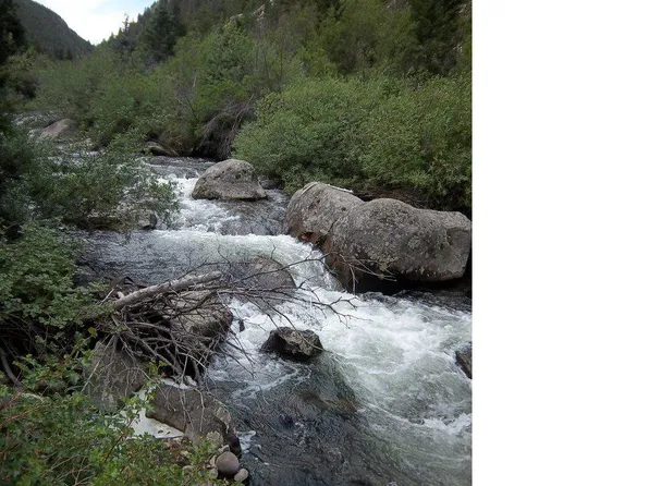 51344 Peak to Peak Hwy, Lyons, CO 80540