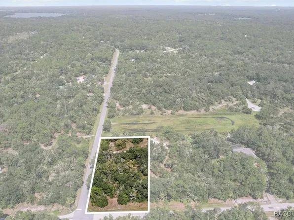9597 N Alder Ave, Crystal River, FL 34428