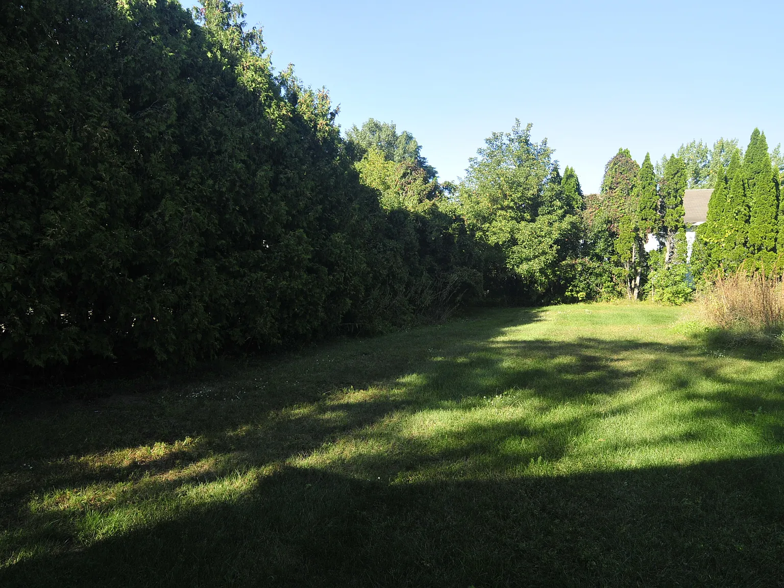 2 bed, $2,000 — Photo 2