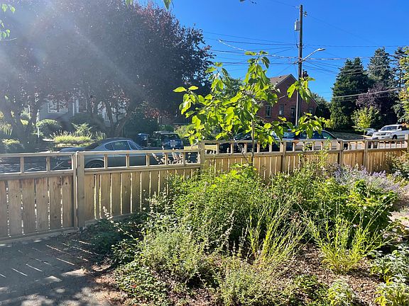 front fence--whole property is fenced in