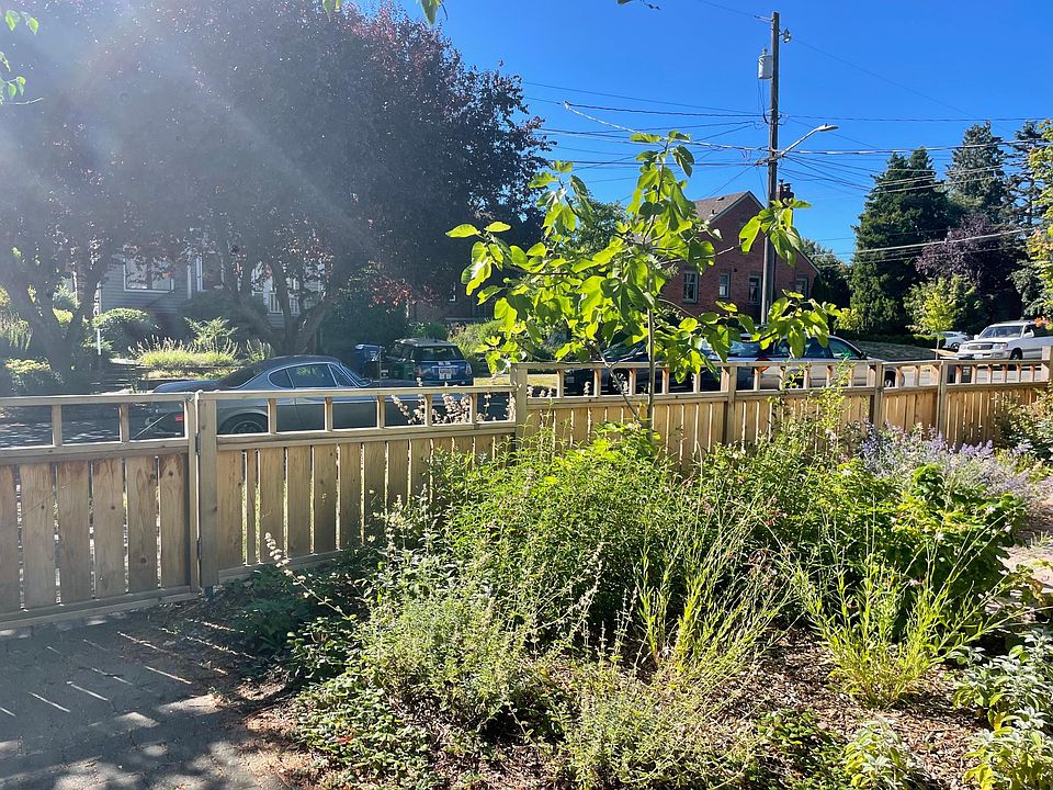 front fence--whole property is fenced in