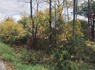 2424 Riverview Dr, Wilson, NY 14172