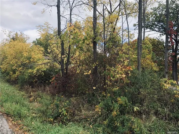 2424 Riverview Dr, Wilson, NY 14172