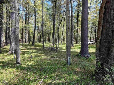 N981 Grey Eagle Rd #11, Keshena, WI, 54135