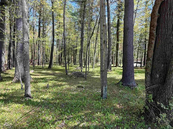 N981 Grey Eagle Rd #11, Keshena, WI 54135