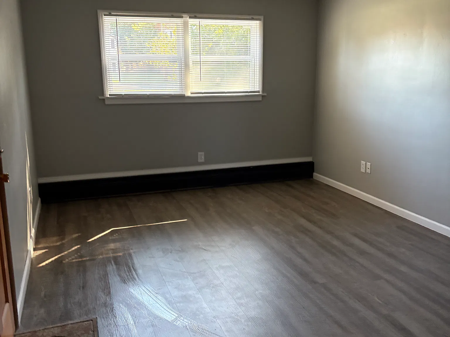 652 Carlotta Dr — Photo 3