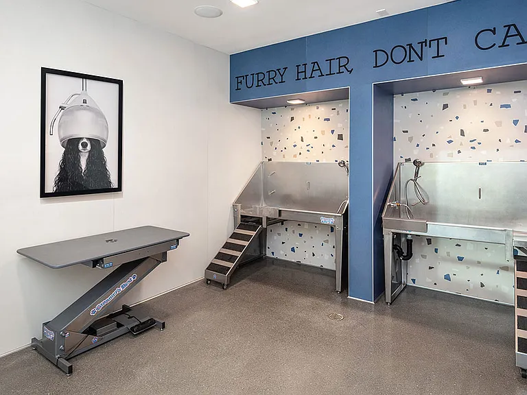 Pet Washing Station