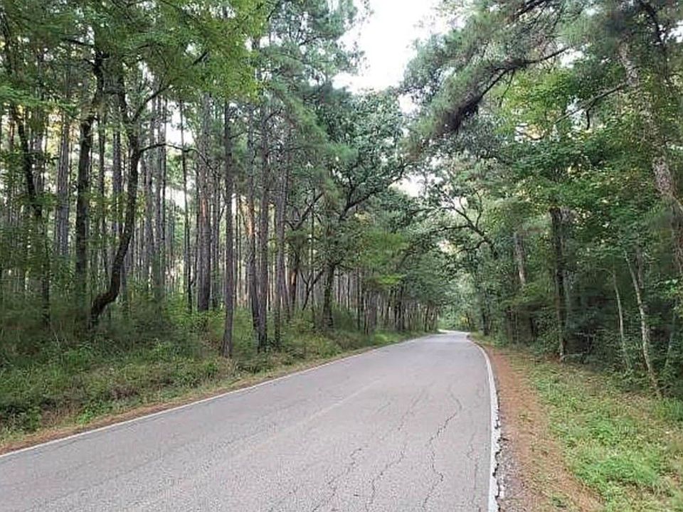 1st image of Sycamore Dr