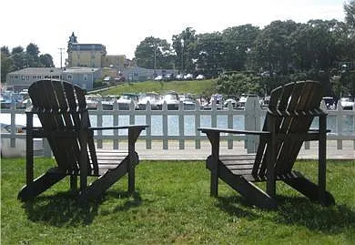 view from yard