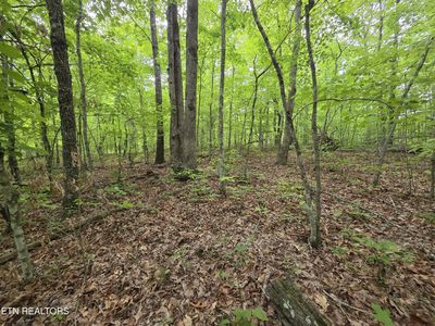 2 Cumberland Lakes Dr, Monterey, TN, 38574