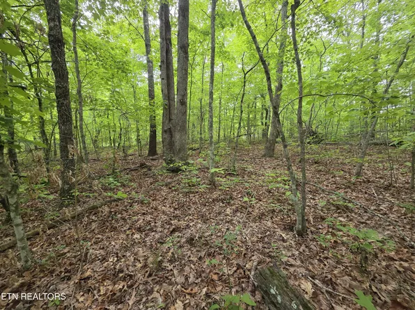 2 Cumberland Lakes Dr, Monterey, TN 38574