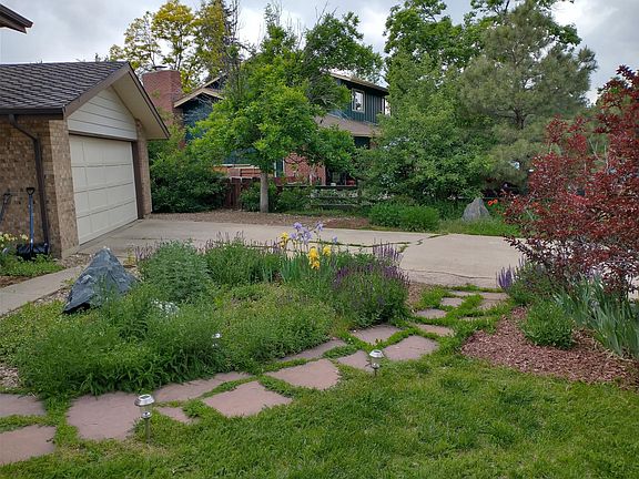 Front yard and driveway