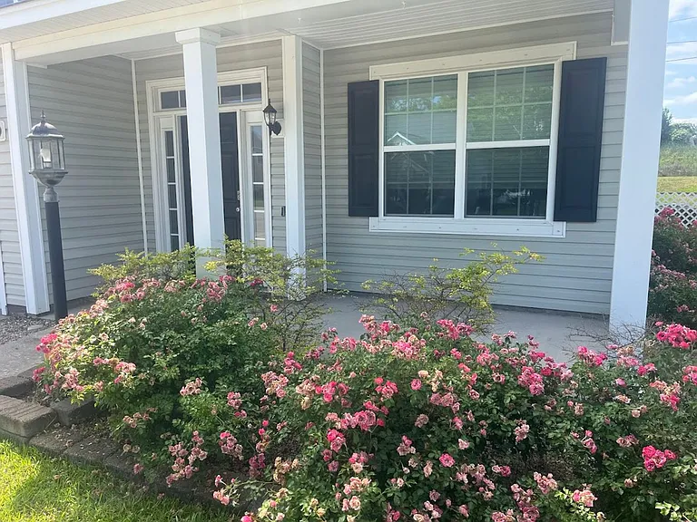 8156 Ronda Dr — Photo 2