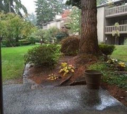 4th image of 13730 15th Ave NE APT E103