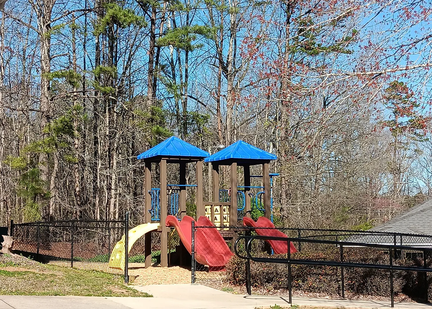 Forrest Brook — Photo 3