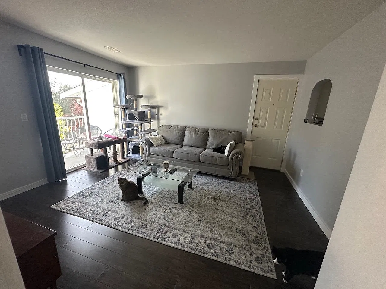 2 bed, 967 sqft, $2,000 — Photo 1