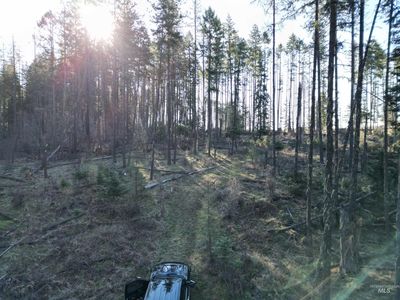 Dent Bridge Rd, Orofino, ID, 83544