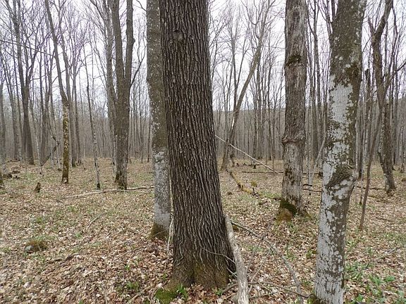 4th image of 4315 N Tower Road